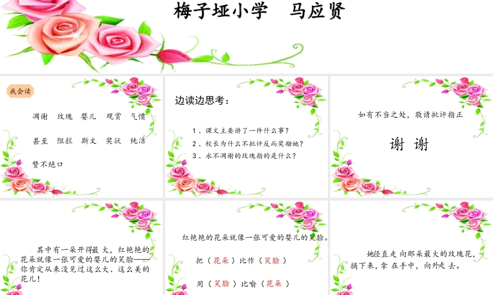 永不凋谢的玫瑰课课件