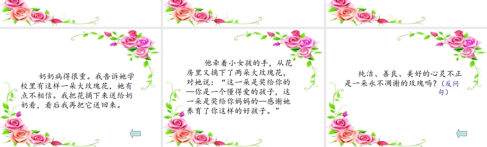永不凋谢的玫瑰课课件