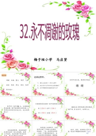 永不凋谢的玫瑰课课件