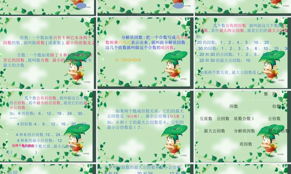 数的整除总复习课件