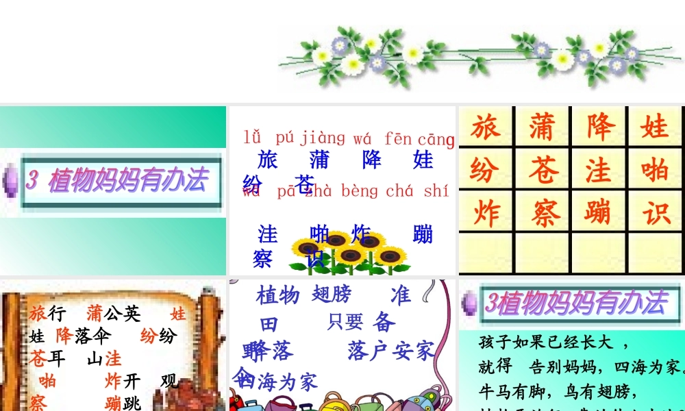 植物妈妈有办法完整版