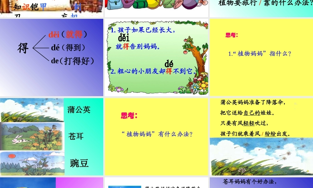 植物妈妈有办法完整版