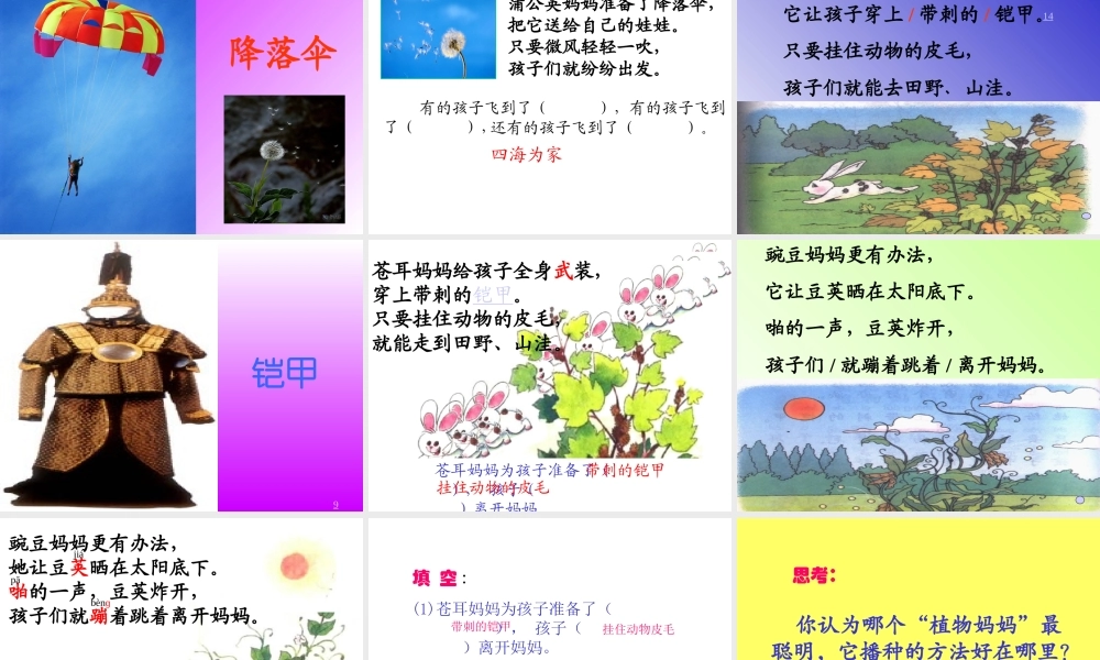 植物妈妈有办法完整版