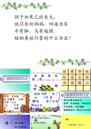 植物妈妈有办法完整版