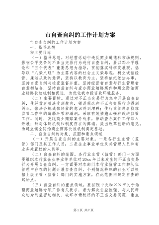 市自查自纠的工作计划方案