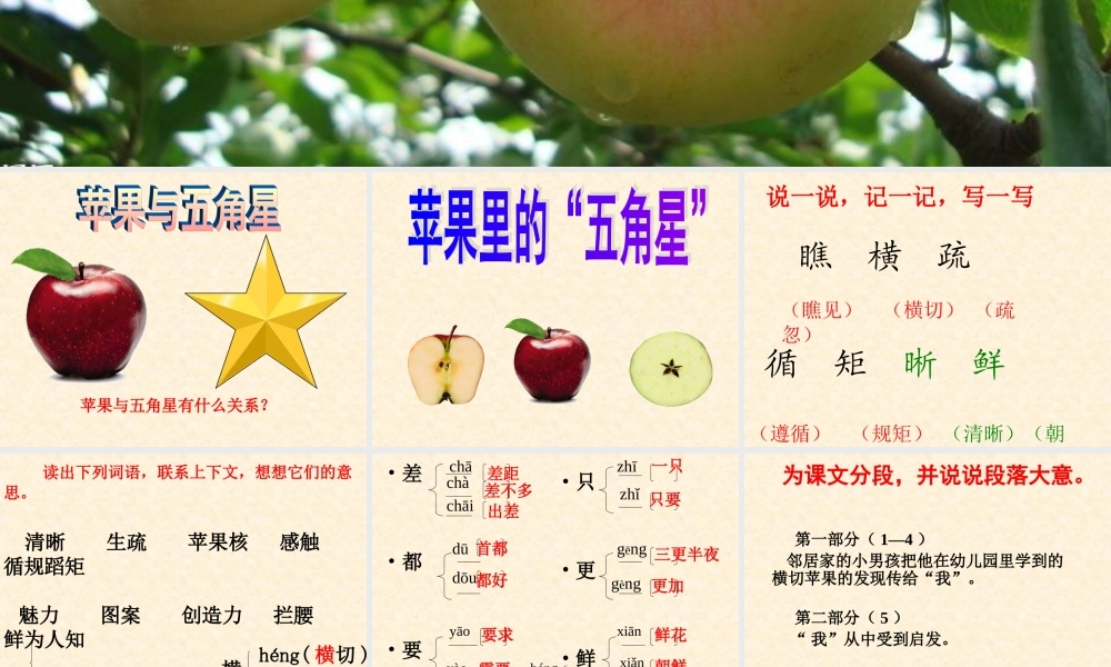 苹果里的五角星课件