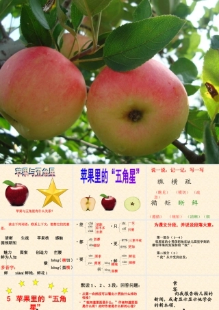 苹果里的五角星课件