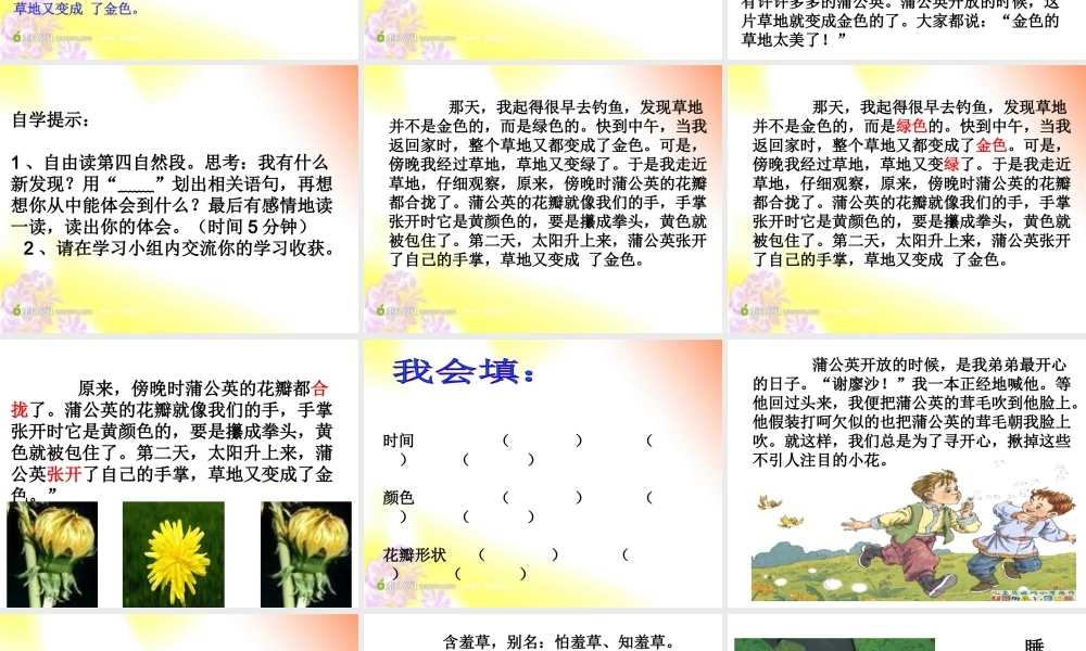 金色的草地(2)