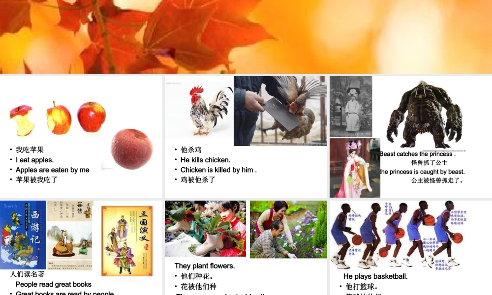 被动语态讲解PPT