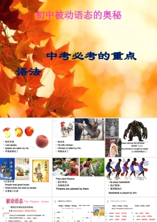 被动语态讲解PPT