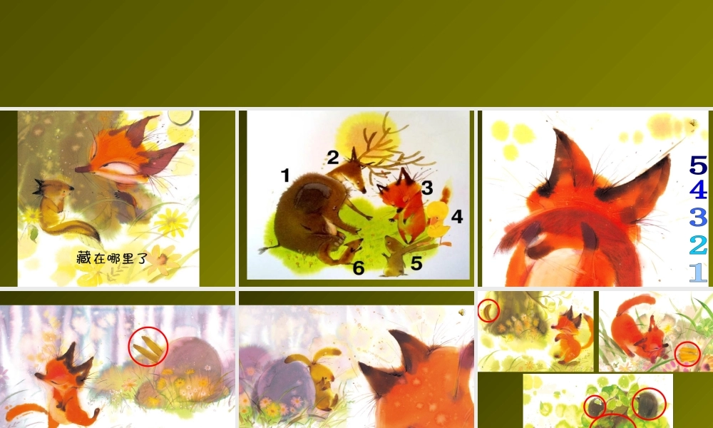 藏在哪里了绘本