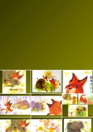 藏在哪里了绘本