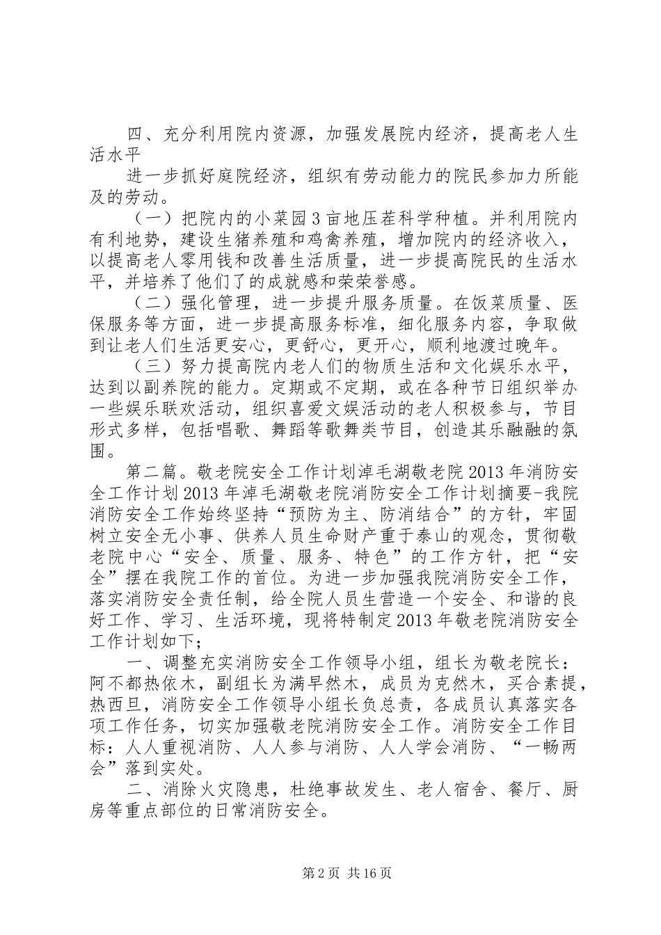 敬老院的新年工作计划_第2页
