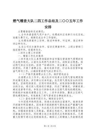 燃气稽查大队二四工作总结及二○○五年工作安排