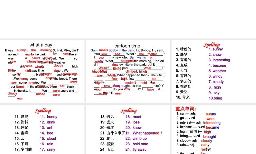 六上复习资料(2)