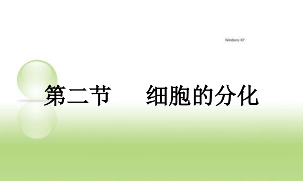 人教版必修一第六章第二节细胞的分化（共17张PPT）