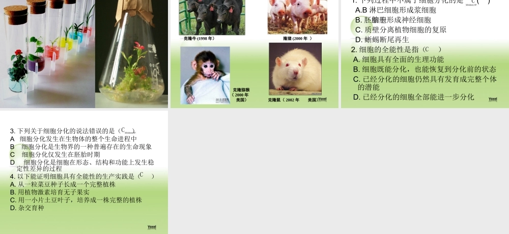 人教版必修一第六章第二节细胞的分化（共17张PPT）