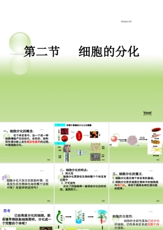 人教版必修一第六章第二节细胞的分化（共17张PPT）