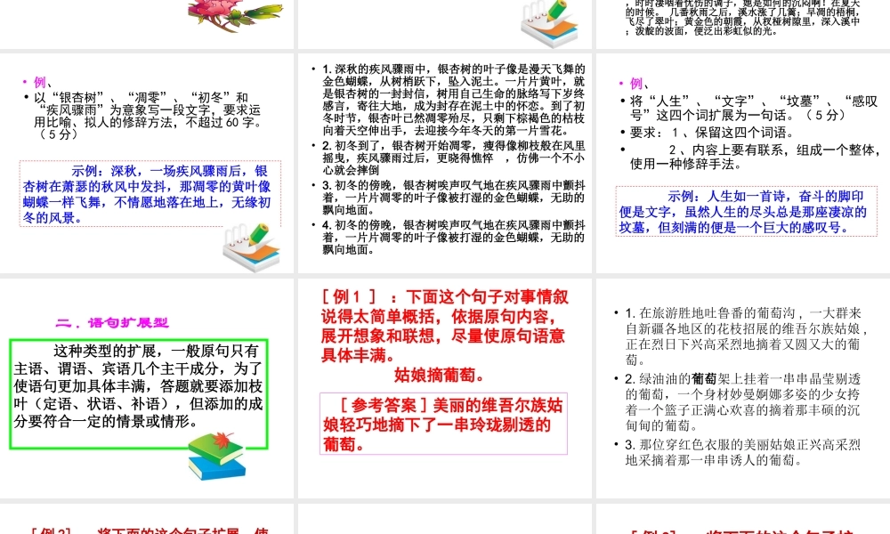 定稿2016高考扩展语句最新指导