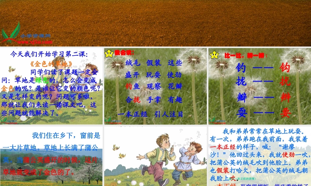 《金色的草地》(好) (3)