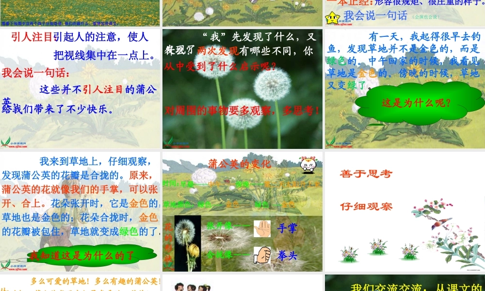 《金色的草地》(好) (3)