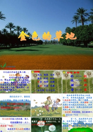 《金色的草地》(好) (3)