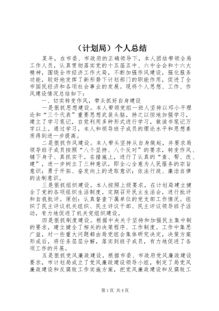 （计划局）个人总结