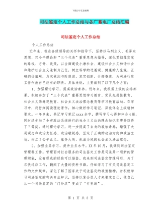 司法鉴定个人工作总结与各广蓄电厂总结汇编