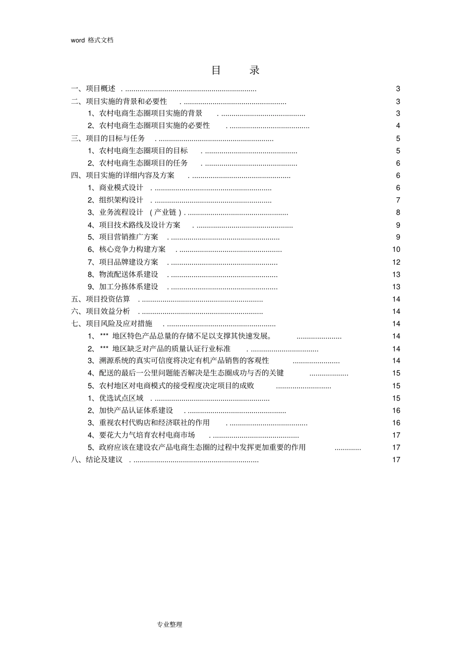 农村电商项目可行性实施计划书_第2页