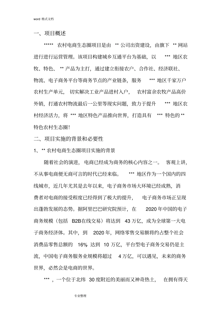 农村电商项目可行性实施计划书_第3页