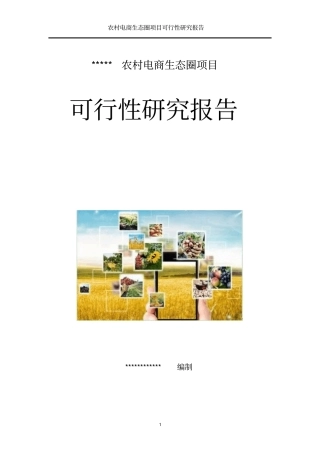 农村电商项目可行性研究报告【精品】