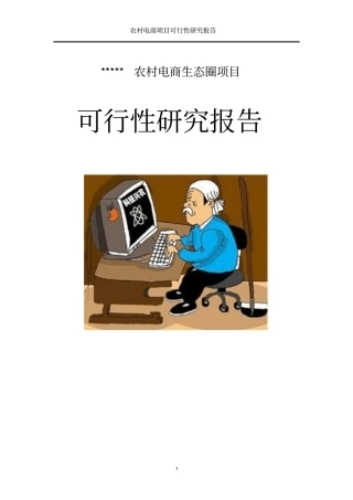 农村电商项目可行性研究报告【推荐】