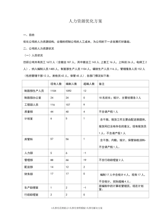 人力资源优化方案