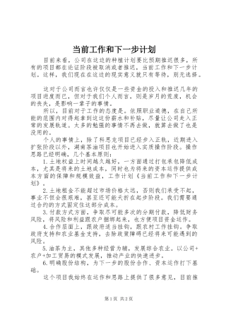 当前工作和下一步计划
