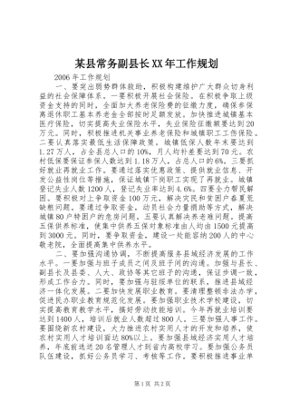 某县常务副县长XX年工作规划