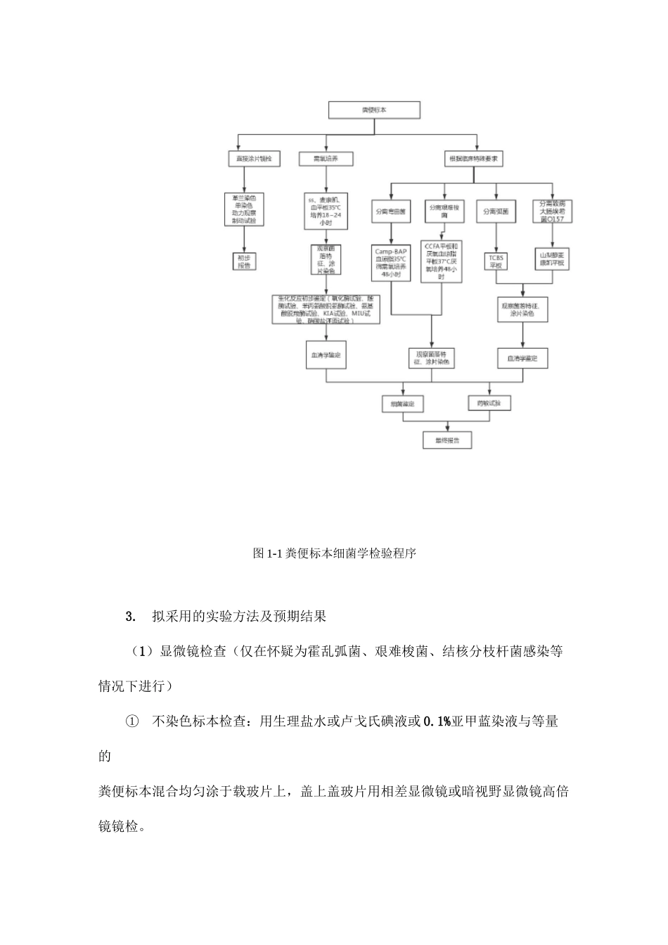 粪便标本中致病菌的检验实验设计_第2页