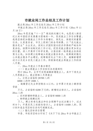 市就业局工作总结及工作计划