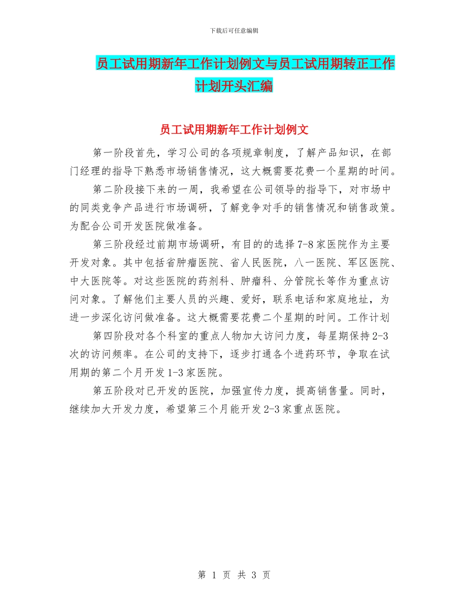 员工试用期新年工作计划例文与员工试用期转正工作计划开头汇编_第1页