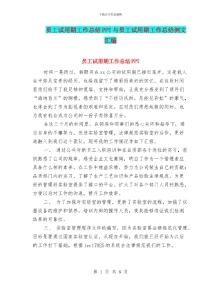 员工试用期工作总结PPT与员工试用期工作总结例文汇编