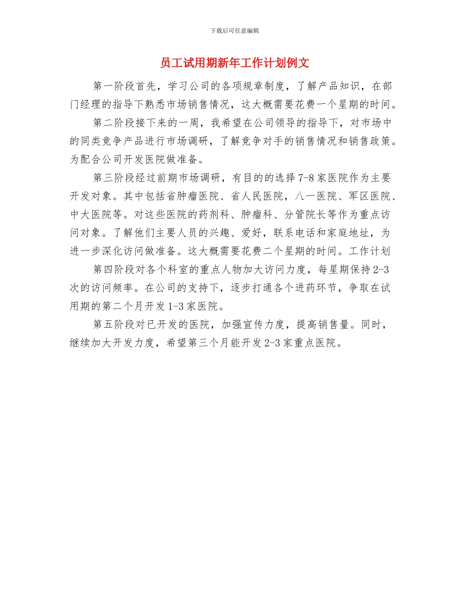 员工试用期工作计划与员工试用期新年工作计划例文汇编_第2页