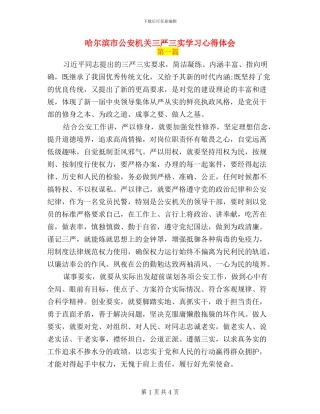 哈尔滨市公安机关三严三实学习心得体会