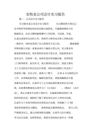 农牧业公司会计实习报告
