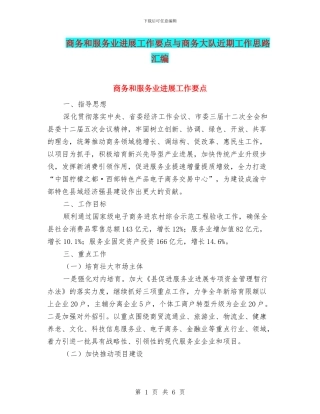 商务和服务业发展工作要点与商务大队近期工作思路汇编