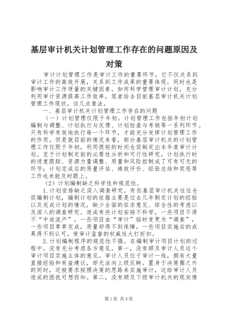 基层审计机关计划管理工作存在的问题原因及对策