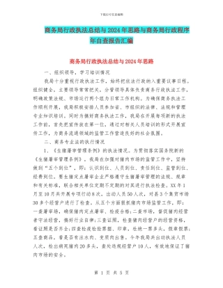 商务局行政执法总结与2024年思路与商务局行政程序年自查报告汇编