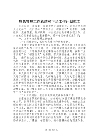 应急管理工作总结和下步工作计划范文