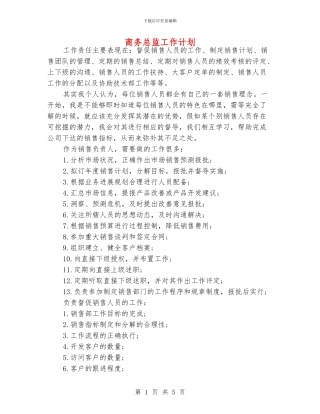 商务总监工作计划