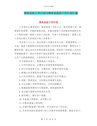 商务总监工作计划与商务总监的工作计划汇编