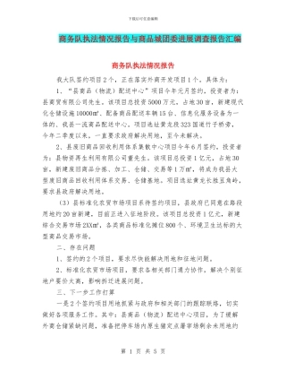 商务队执法情况报告与商品城团委发展调查报告汇编