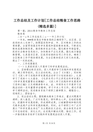 工作总结及工作计划[工作总结粮食工作思路(精选多篇)]